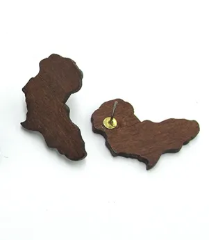 Mini Map of Africa Stud Earrings | Africa shaped | African | Natural hair | Afrocentric | jewelry